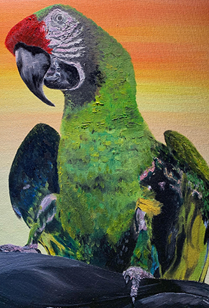 Parrot Oil Painting